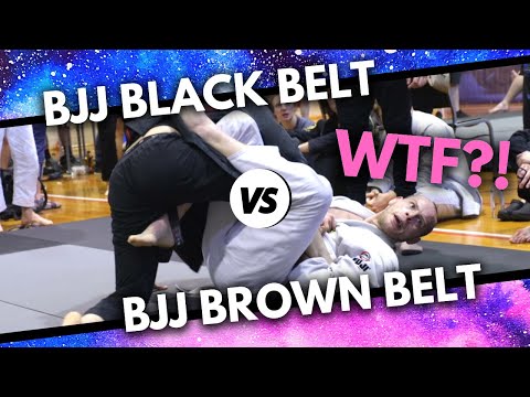 BJJ Black Belt vs BJJ Brown Belt | Nate Fenton vs Zach Snyder