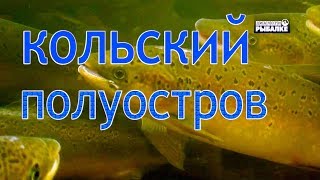 Запрещенные реки для рыбной ловли на кольском полуострове