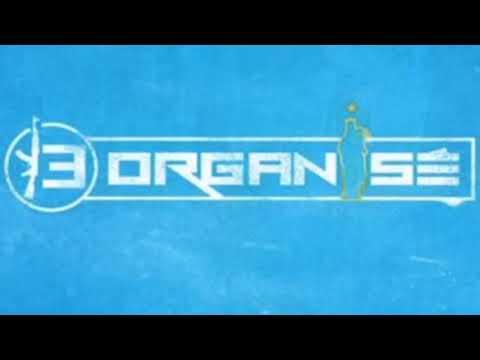 13 Organisé - L'étoile sur le maillot || Reprise Rap