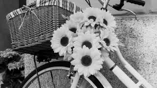 Download lagu Viva video 30detik mp3