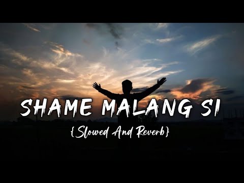Shame Malang Si [Slowed & Reverb] Arijit Singh | Music Lover | LoFi73