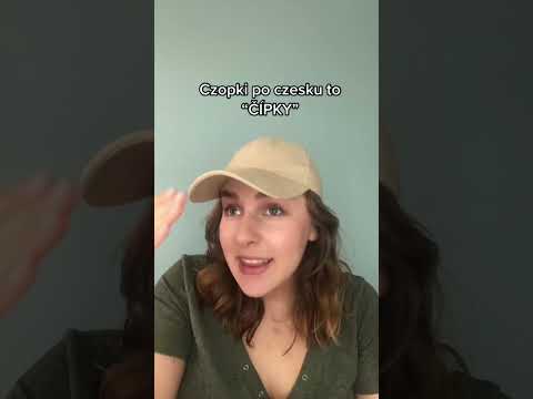 SUPPOSITIONS in Czech