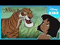 Mowgli Faces Shere Khan Jungle Book Disney Kids