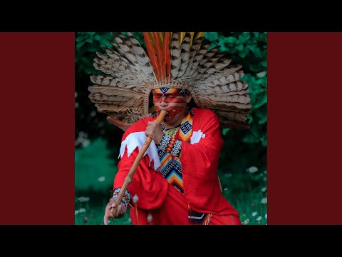 Ayahuasca Curandeira