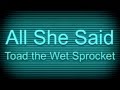 Toad the Wet Sprocket - All She Said