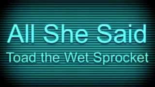Toad the Wet Sprocket - All She Said