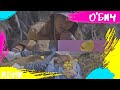 RDMK - О'БИЧ (Official Music Video)