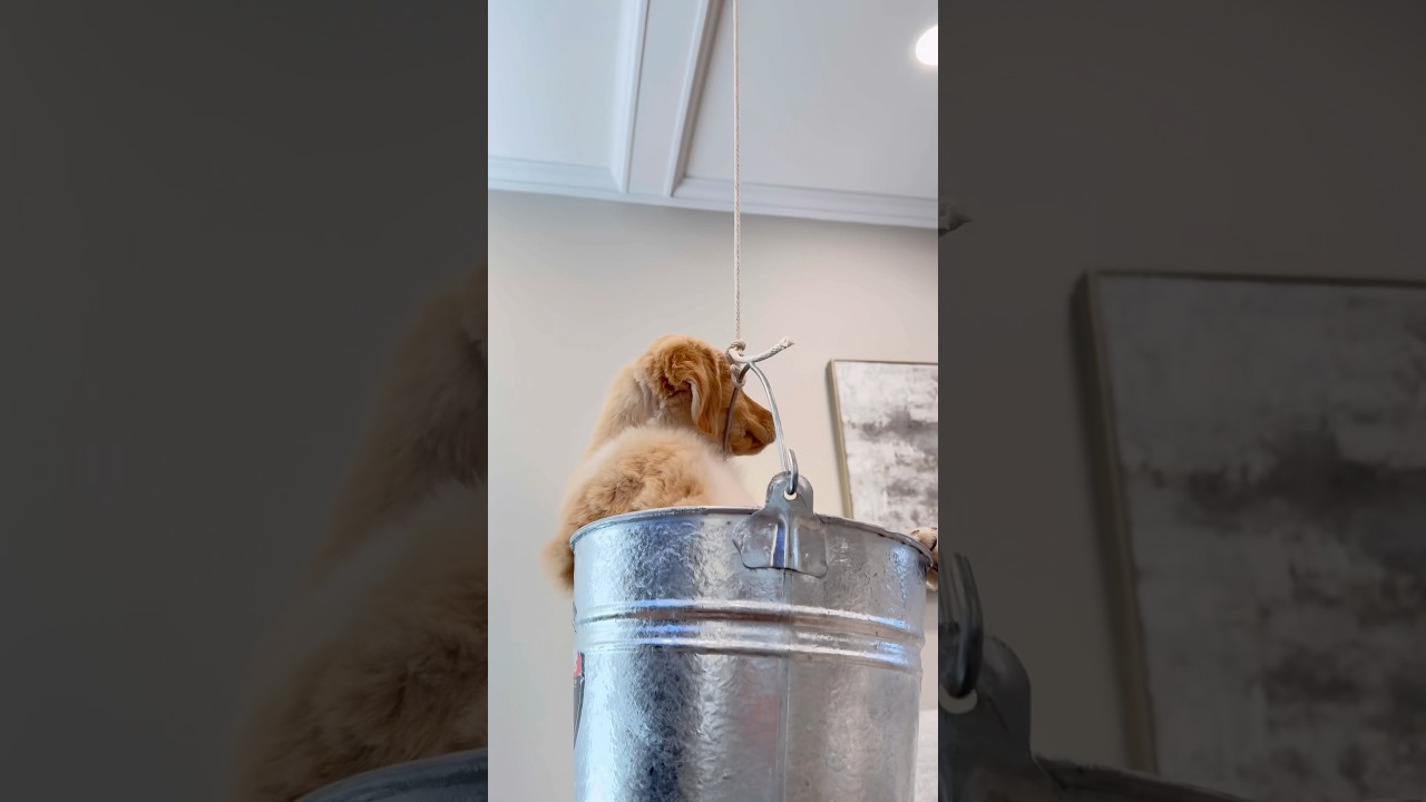 Teddy TRIED to break his sister out!