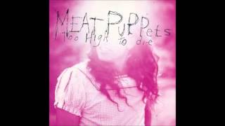 Meat Puppets - Comin&#39; Down and Lake Of Fire