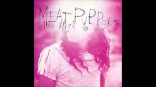 Meat Puppets - Comin&#39; Down and Lake Of Fire