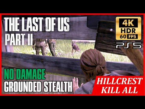 THE LAST OF US 2 Stealth Kills HILLCREST - No Damage GROUNDED - Minimal Item [4K 60FPS HDR]