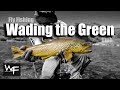 W4F - Fly Fishing "Wading Green River" Utah