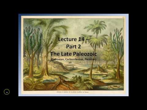 Lecture 14 - Paleozoic Earth History Part 2