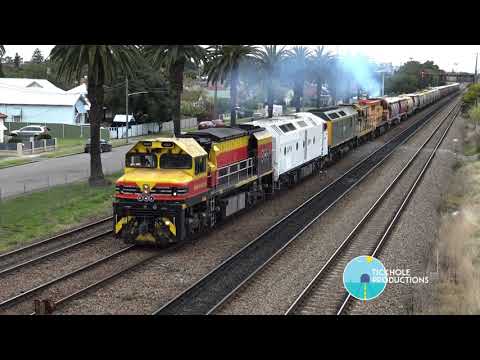 Diesel Locomotives - BRM001, CLP12 (Casper), RL301, 4904 & L277 -  Waratah - September 2020