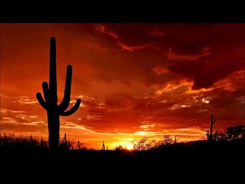 Wild Western Music - Cactus Desert