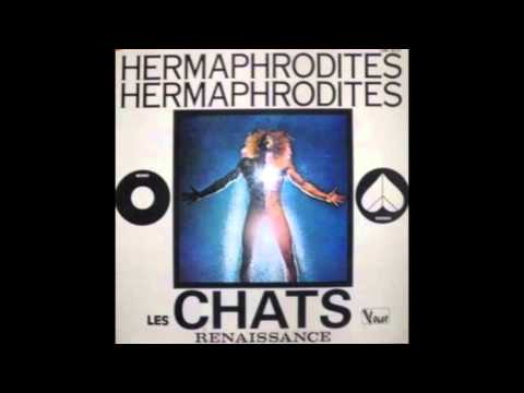 Les Chats Renaissance "Bizarre"