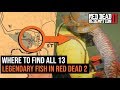 Where To Find All 13 Legendary Fish in Red Dead Redemption 2