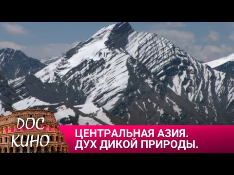 🎭ЦЕНТРАЛЬНАЯ АЗИЯ. ДУХ ДИКОЙ ПРИРОДЫ. 🌎 ДОКУМЕНТАЛЬНОЕ КИНО 🎆 2023