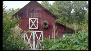 Selwood Farm Music Video