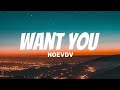 Noevdv - WANT YOU (Lyrics video) 