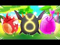 We Randomized Our Eggs into Shiny Pokemon, Then We Battle!