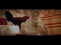 Lord Murugan Song HD WhatsApp Status உள்ளம் உருகுதய்யா TMS Song HQ
