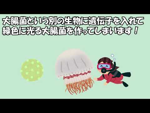 東洋大学生命科学部紹介：生命科学実験(生命科学部生命科学科)