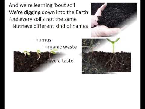 soil song