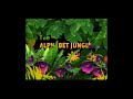 Sesame Street The Alphabet Jungle Game Intro