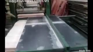 Dây chuyền xếp và cắt gỗ plywood