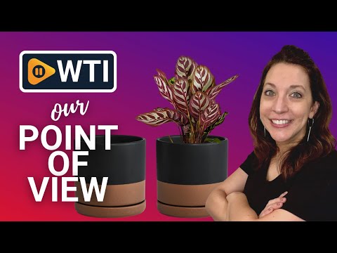D'vine Dev Set of 2 Plants Pot - WTI product video review