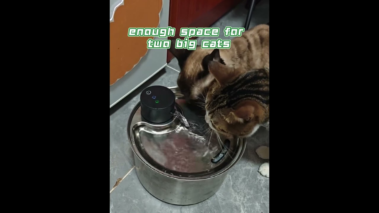 summer is coming, drink water safely