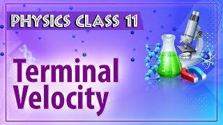 Terminal Velocity - Friction - Physics Class 11 - HSC - CBSE - IIT JEE - NEET | Ekeeda.com