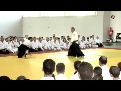 Kei Izawa Sensei Demonstration in Cluj - International Aikido Federation