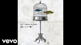 Zoé - Nunca (MTV Unplugged) [Audio]