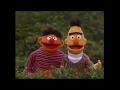 Sesame Streets 25th Birthday A Musical Celebration Sing