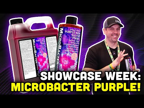 Introducing MicroBacter Purple! The ULTIMATE Bacteria for Your Reef!