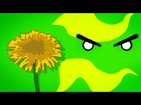 DumaRagu - MEGFELELNI NEHÉZ