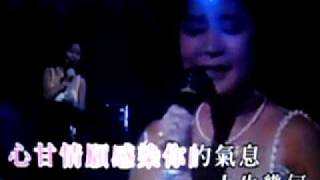 鴨印翻唱-我只在乎你