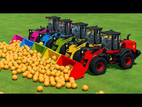 LOAD AND TRANSPORT ORANGES WITH NEW HOLLAND LOADERS - Farming Simulator 22