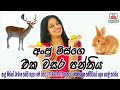 2022 Grade One Scholarship Grade 1 Online Maths Sinhala