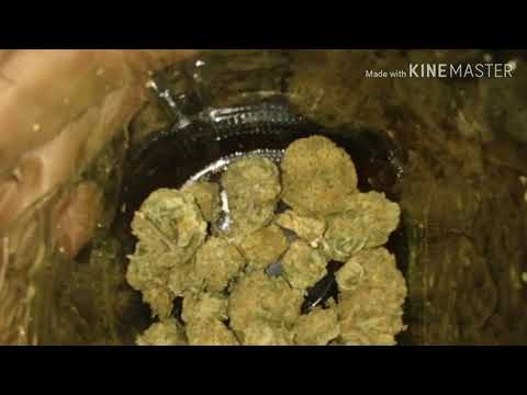 Redlabel droppa-hop out feat pistol click kilo x oven boy x da chaser