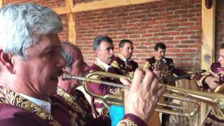Cotija Mariachi Sol de Jalisco de Luis Ruiz “Camino Real de Colima”