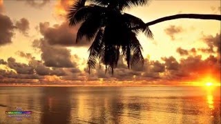 El Dulce Sol - Norman Brown