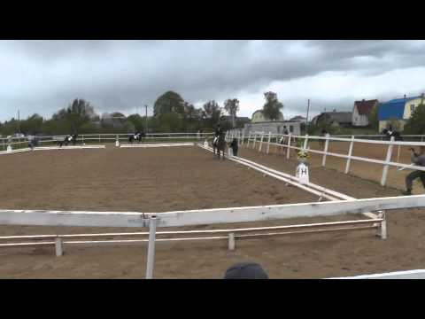 Кубок ЗАО ПЗ Черново 1 этап. Манежная езда 2.2. Серебро 2015 05 24