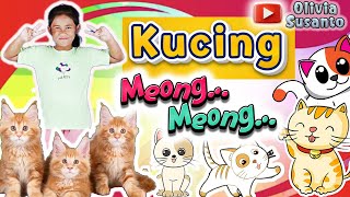 Download lagu Anak Kucing Meong Meong | Kucing Lucu | Lagu populer by Olivia Susanto mp3 Download lagu Anak Kucing Meong Meong | Kucing Lucu | Lagu populer by Olivia Susanto mp3