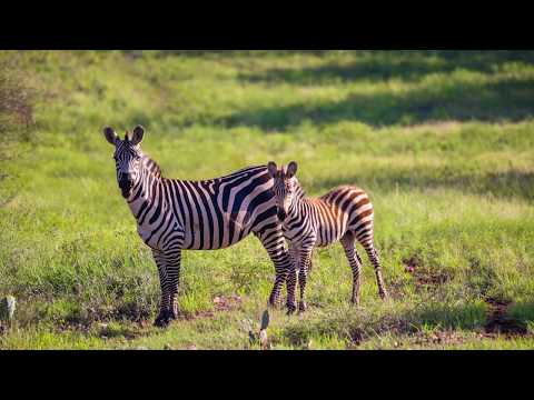 Sandstone Mountain Ranch | Hood Real Estate, Inc.