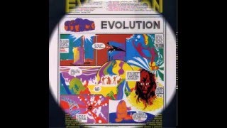 Evolution   She&#39;s so Fine 1970
