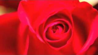 Joss stone L.O.V.E by yannou333