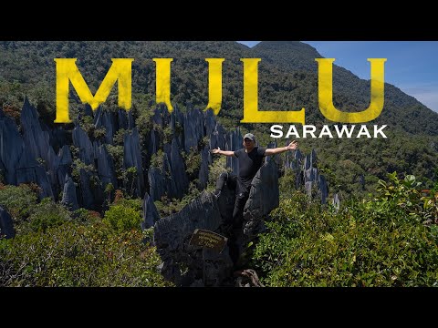 MULU Pinnacles & Gua Tebesar di Malaysia (Amazing Place to Visit in Sarawak Borneo)
